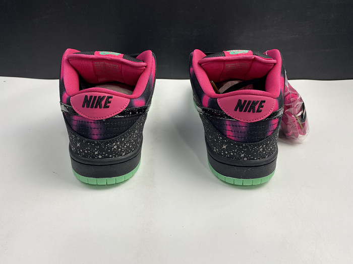 nike dunk sb low premier "N0*Hern lights" 724183-063
