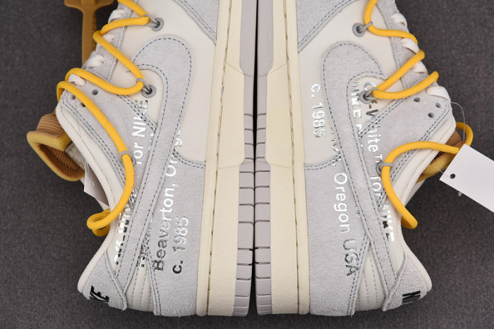 fw x dunk low 