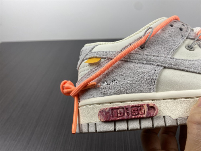 fw x dunk low 