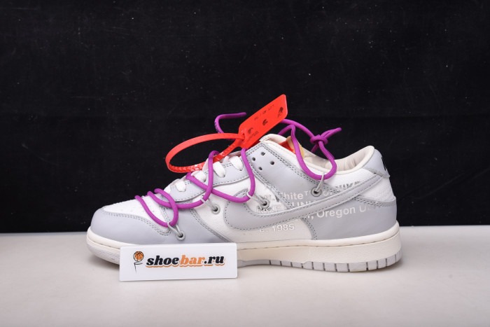 fw x dunk low 