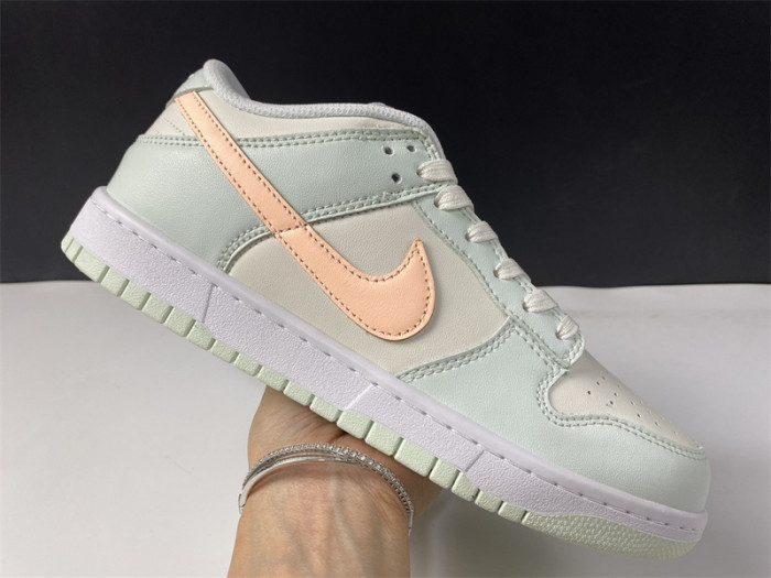 nike dunk low dd1503-104