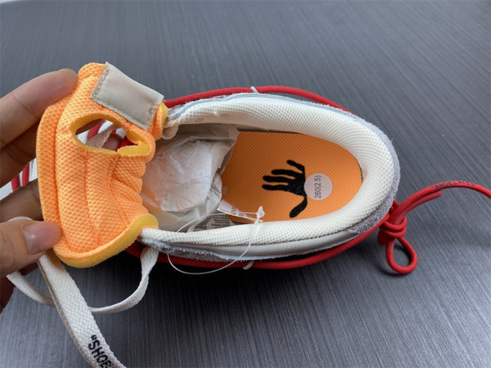 fw x dunk low 